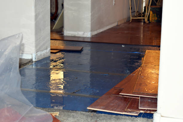 Professional Water Damage Restoration technician working in Bedford, MA